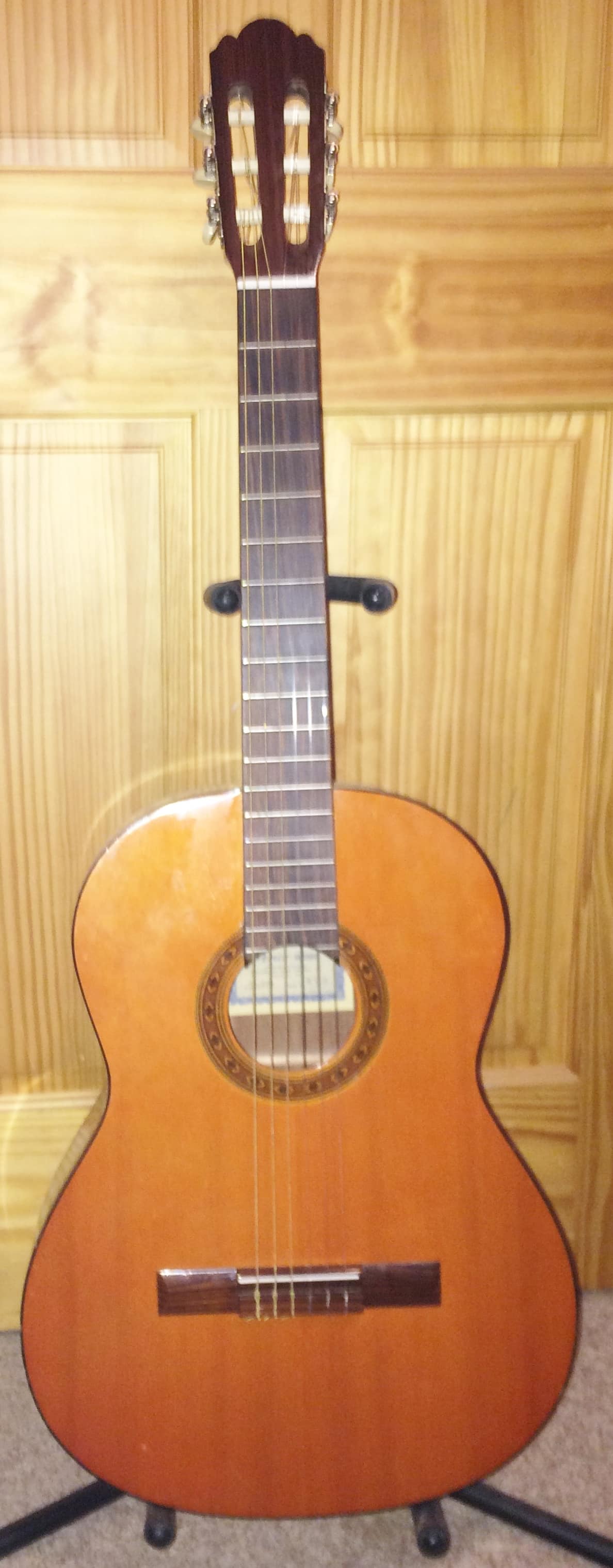 Vintage penco guitars